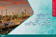 شرکت صنایع پتروشیمی خلیج فارس از طریق بورس عرضه و واگذار می‌شود