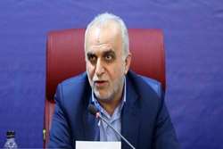 دژپسند: دارندگان سهام عدالت از فروش شتابزده خودداری کنند