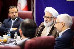 تالار مولدسازی دارایی‌های دولت با ایجاد شفافیت جلوی هرگونه رانت را می‌گیرد