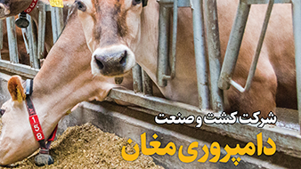 شركت كشت و صنعت و دامپروری مغان