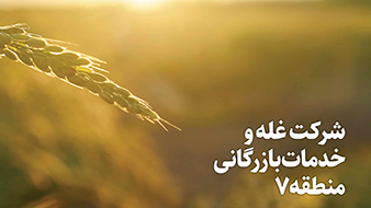 شرکت غله و خدمات بازرگانی منطقه 7
